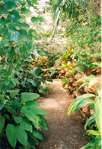 The Barbados Tropical Gardens at Magnolia Plantation