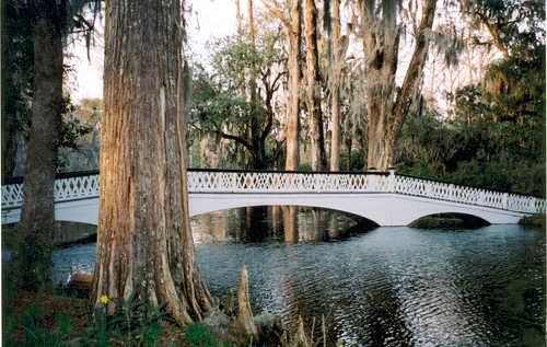 The Long White Bridge at Magnolia Plantation