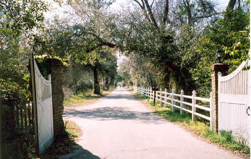 The Entrance to the Plantation