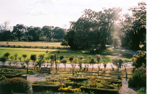 The Grounds of Magnolia Plantation