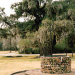 A Well on the Drayton Hall Grounds