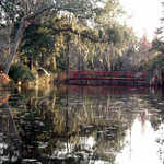 Bridge Over a Pond at Magnolia Plantation