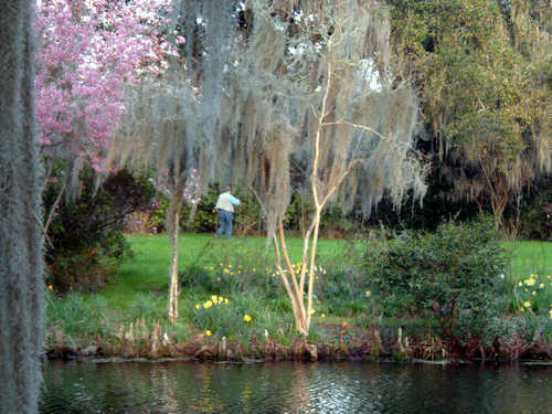Exploring Magnolia Gardens in Springtime