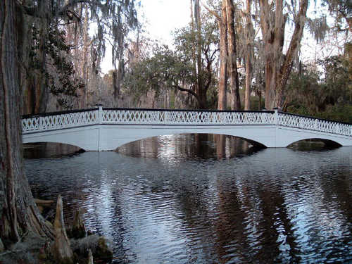 The Long White Bridge at Magnolia Gardens