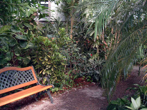 Bench in the Barbados Garden