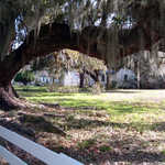 Slave Quarters on "The Street" at Magnolia Plantation