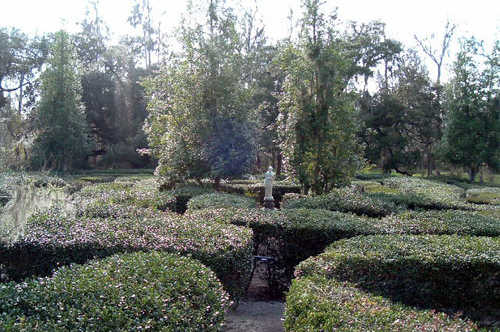 Horticulture Maze at Magnolia Gardens