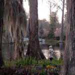 Islands of Color in Magnolia Gardens
