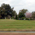 Touring the Grounds of Middleton Place