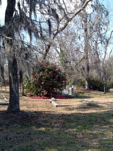 Cemetery Near St. Andrew