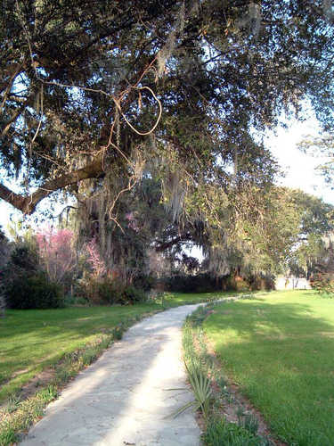 Path to the Ashley River