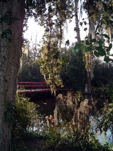 Garden Bridge View at Magnolia Gardens