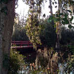 Garden Bridge View at Magnolia Gardens