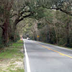 The Ashley River Road