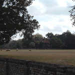 Distant View of Middleton Place