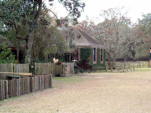 Farmyard with Peacock at Middleton Place