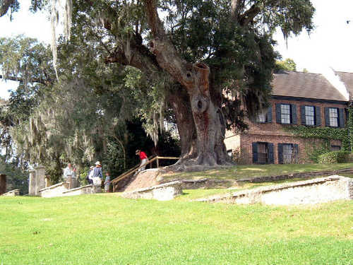 Visitors by the House Museum at Middleton Place