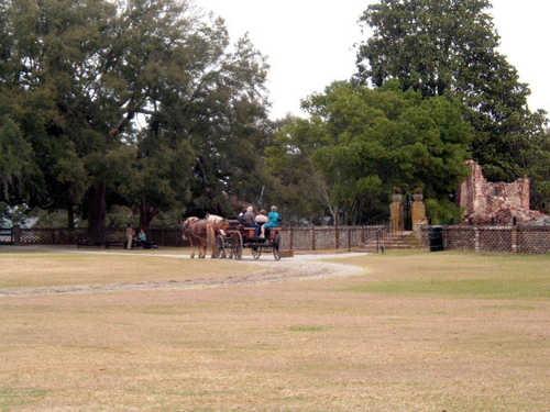 Carriage Rides at Middleton Place