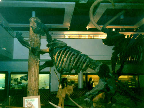 A Giant Ground Sloth