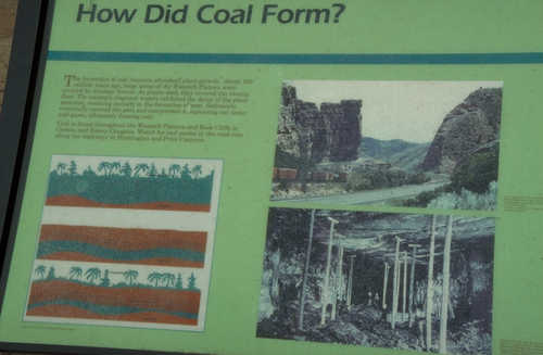 "How Did Coal Form" Sign on The Energy Loop