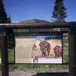 Energy Loop Mammoth Interpretive Sign
