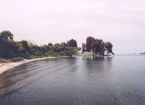 A Peaceful Shore on the Indian River Lagoon