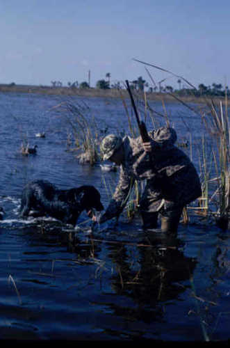 Hunting Waterfowl