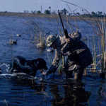 Hunting Waterfowl