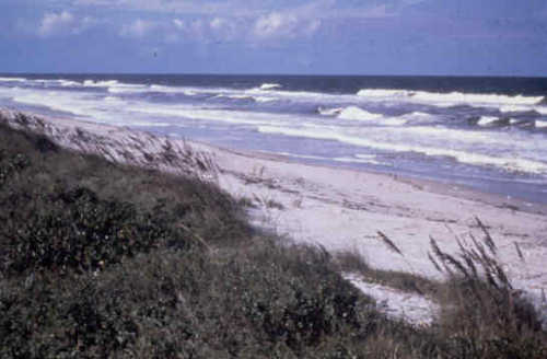 Waves at Canaveral National Seashore