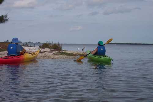 Kayaking on the Indian River Lagoon