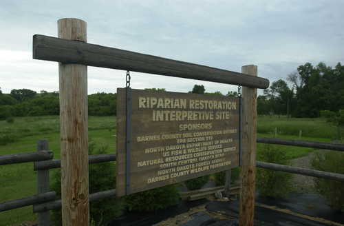 Sponsors of the Riparian Restoration Site