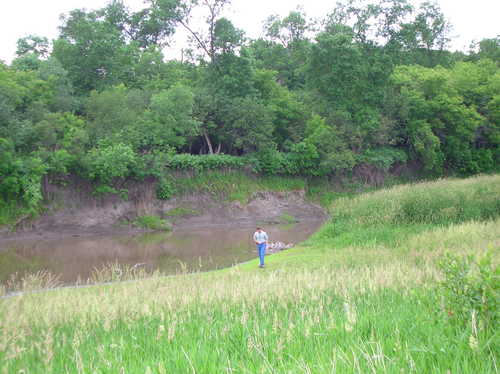 Examining the Riparian Restoration Riverbank
