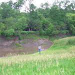 Examining the Riparian Restoration Riverbank