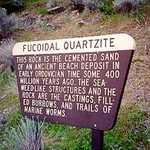 All about Fucoidal Quartzite