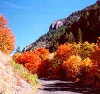 Right Hand Fork in Logan Canyon in the Fall