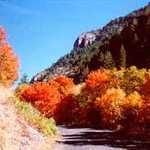Right Hand Fork in Logan Canyon in the Fall