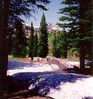 Tony Grove Campground in Late Spring