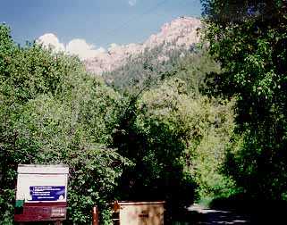 Preston Campground in Logan Canyon