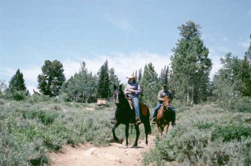 Horseback Riders on White Pine Lake Trail in Logan Canyon, Utah