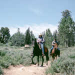 Horseback Riders on White Pine Lake Trail in Logan Canyon, Utah
