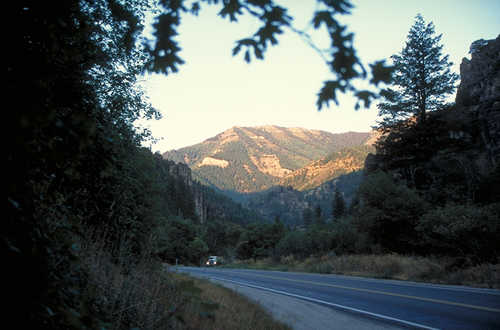 Logan Canyon in Early Morning Light
