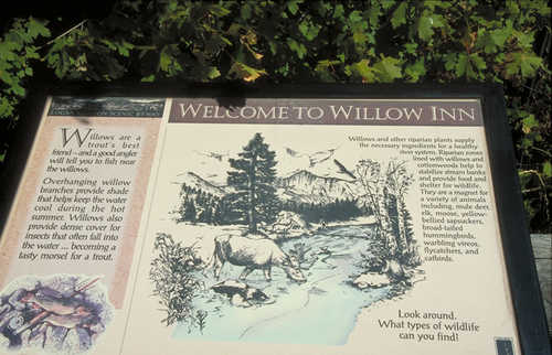 "Welcome to Willow Inn" Sign