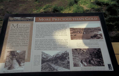 "More Precious than Gold" Sign
