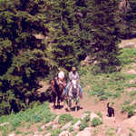 Horseback Riders at White Pine Lake.