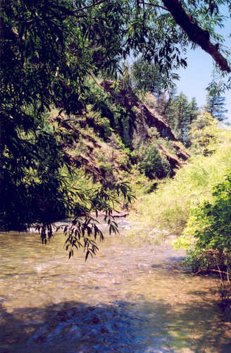 Logan River Downstream