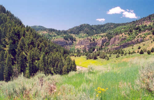 Start of the Blind Hollow Trail in Logan Canyon