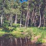 Hansen Pond in the Wasatch-Cache National Forest