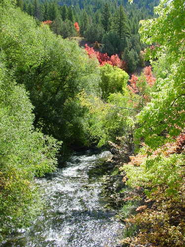 Logan River near Wood Camp