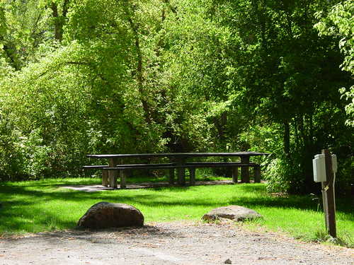 Picnic Site at Preston Valley Campground