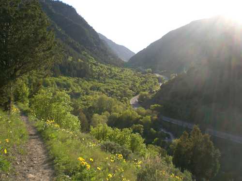 Logan Canyon Scenic Byway in May